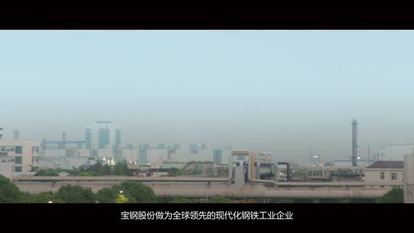 上海寶鋼